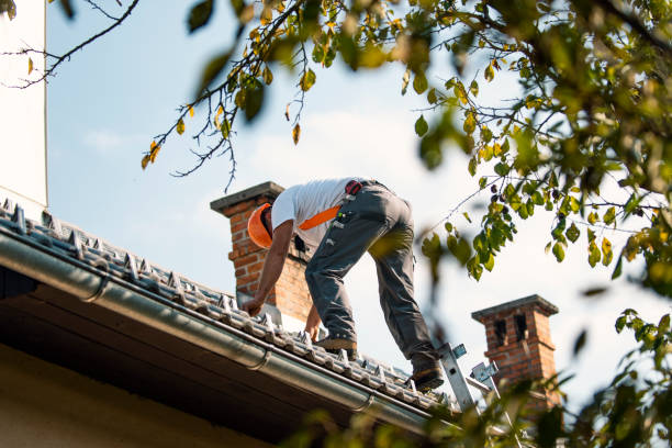 Roof Gutter Cleaning in Fort Bragg, CA