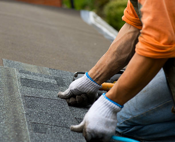 Best Roof Maintenance Services  in Fort Bragg, CA